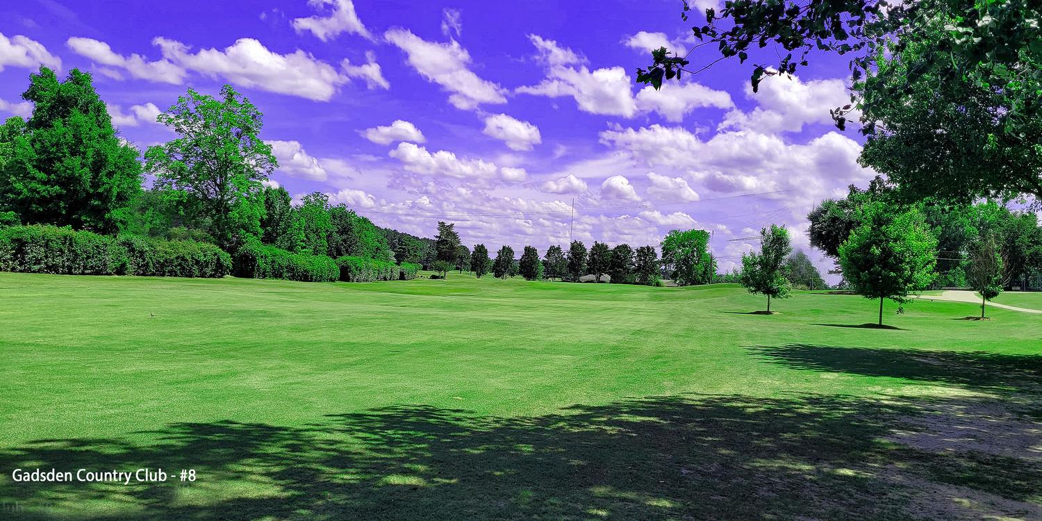 Gadsden Country Club By David Theoret